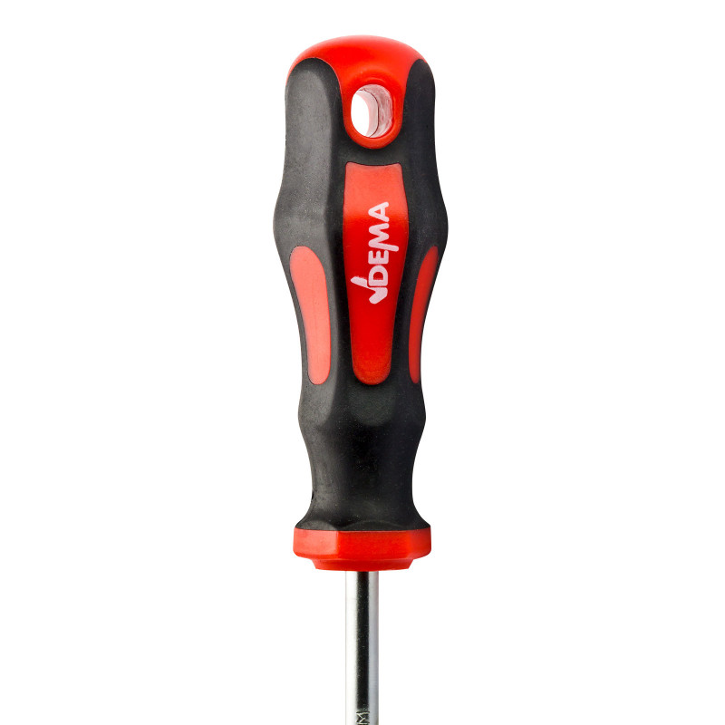 Set odvijača Torx T10-T40, 7 komada | DEMA - Image 5