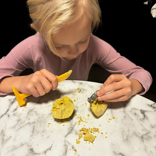 Set dinosaura, 12 komada | Kruzzel - Image 10