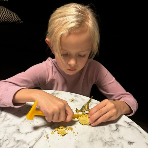 Set dinosaura, 12 komada | Kruzzel - Image 11