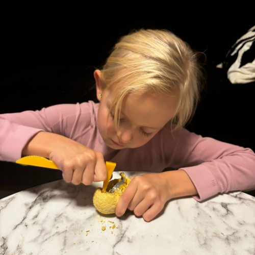 Set dinosaura, 12 komada | Kruzzel - Image 9